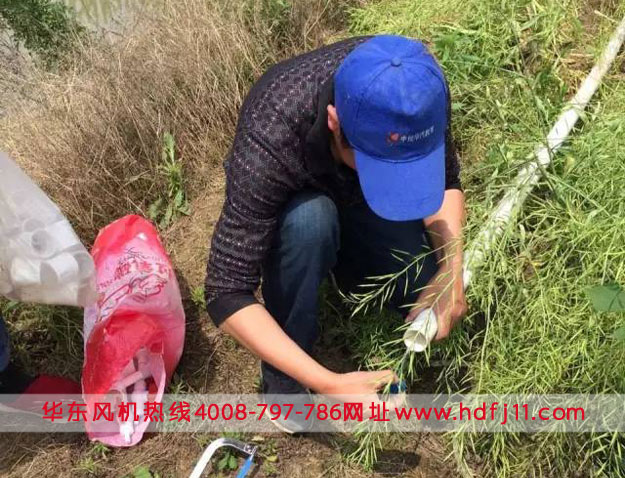 鱖魚養(yǎng)殖微孔曝氣增氧管路.jpg 鱖魚養(yǎng)殖微孔曝氣增氧管路.jpg