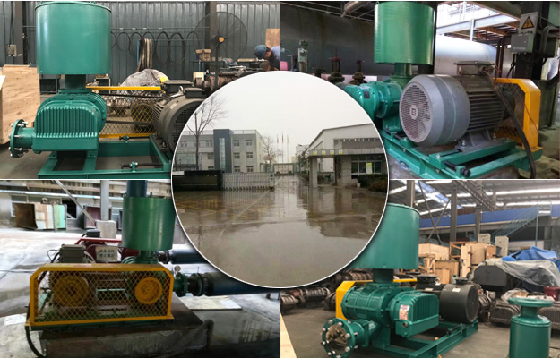 三葉羅茨風(fēng)機(jī) 三葉羅茨風(fēng)機(jī)