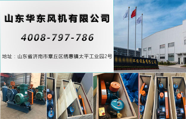 回轉(zhuǎn)風(fēng)機 回轉(zhuǎn)風(fēng)機