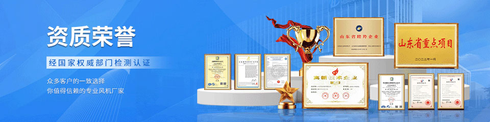 羅茨鼓風(fēng)機(jī)廠 羅茨鼓風(fēng)機(jī)廠