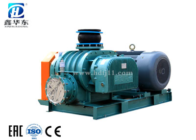 HDSR-125V羅茨真空泵 HDSR-125V羅茨真空泵